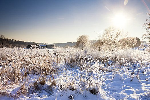 积雪,农场,日落,北莱茵威斯特伐利亚,德国
