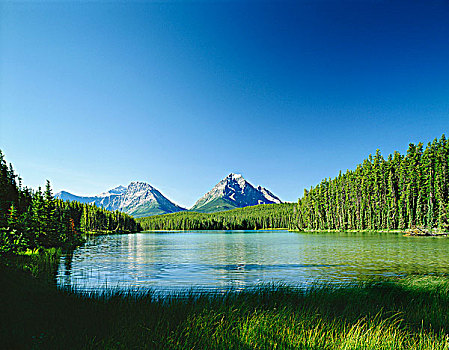 湖,碧玉国家公园,加拿大