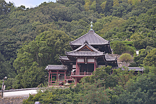 斑点,西部,寺院,日本