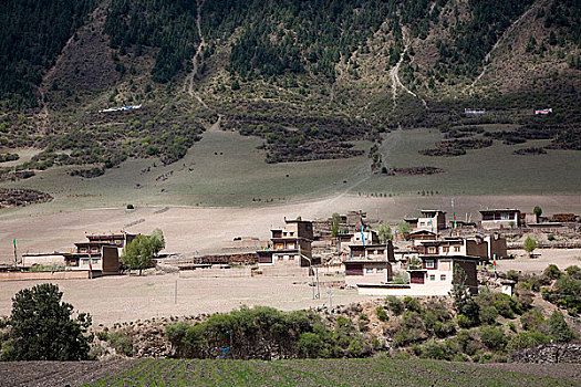 西藏村庄