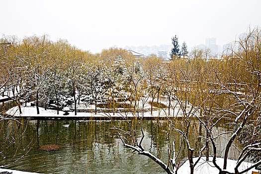 雪景