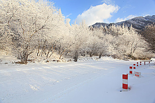 陕西秦岭分水岭公路雪景