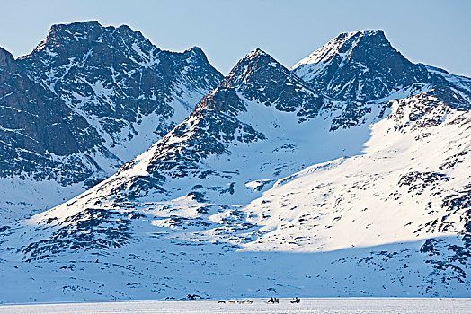 冬季风景,积雪,山,爱斯基摩犬,拉拽,雪橇,远景