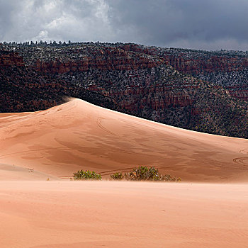 沙丘,沙漠,州立公园,犹他,美国