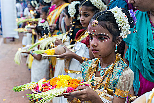 女孩,祭祀,花,庙宇,节日,喀拉拉,印度,亚洲