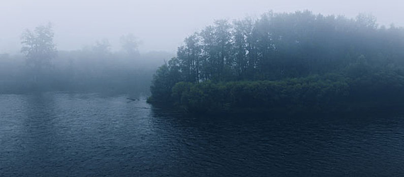 雾气,原始森林,大兴安岭