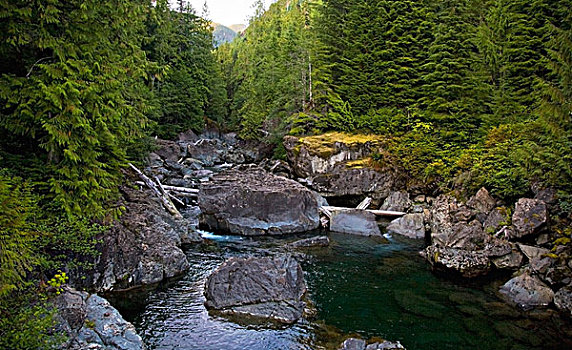 漂亮,河,场景,麋鹿,瀑布,不列颠哥伦比亚省,加拿大