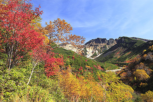 秋色,温泉,山