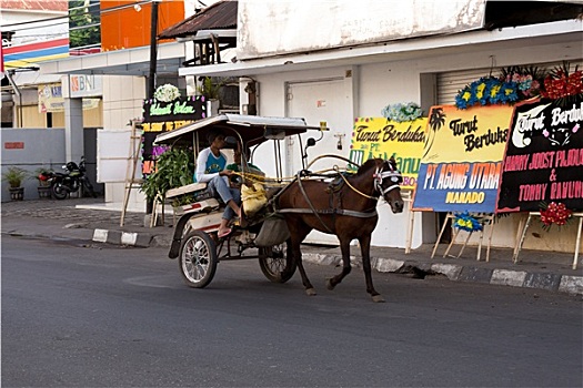 马车,街道,万鸦老