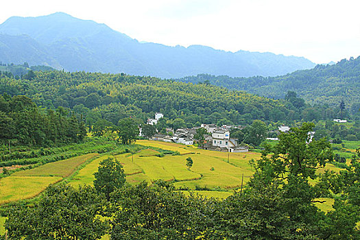 黟县塔川村