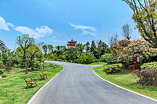 江苏省南京市银杏湖公园平坦大道景观