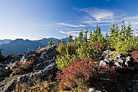 上面,省立公园,北温哥华,不列颠哥伦比亚省,加拿大