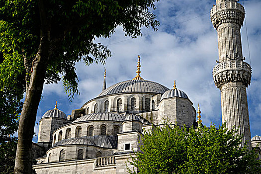 土耳其,伊斯坦布尔,藍色清真寺,地区,蓝色清真寺,清真寺