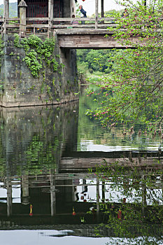 木桥在水面的倒影