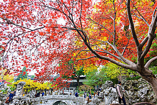 秋天风景