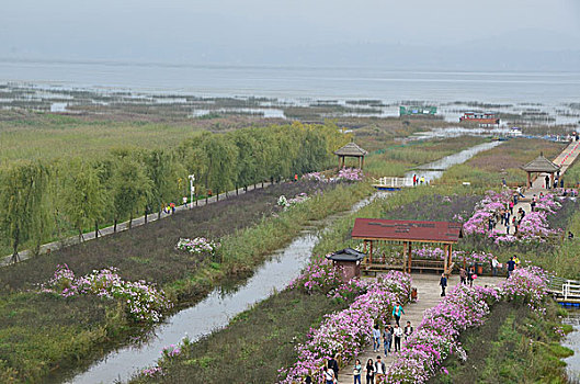 草海,风光