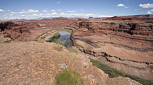 红岩,河,峡谷,犹他,美国