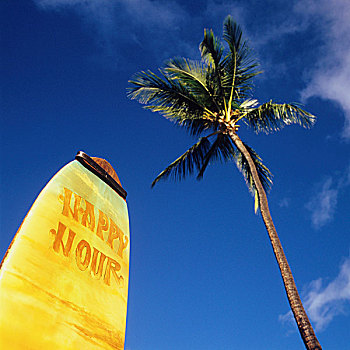 冲浪板,欢乐时光,棕榈树