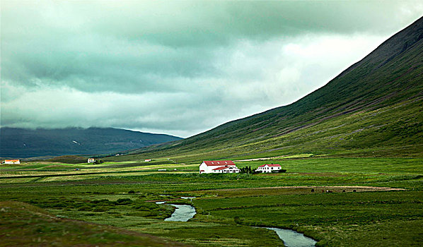 山,农场,冰岛,风景