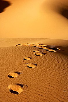 脚印,锡,阿哈加尔,撒哈拉沙漠,阿尔及利亚