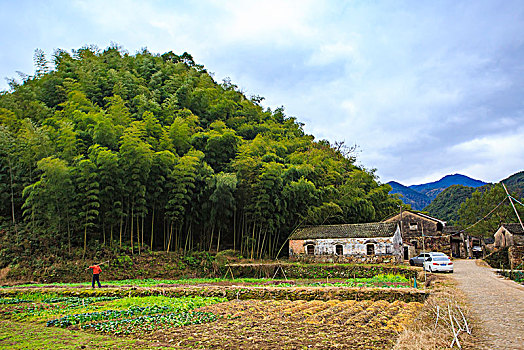 胜坑村,石屋,山村,民宿,小溪