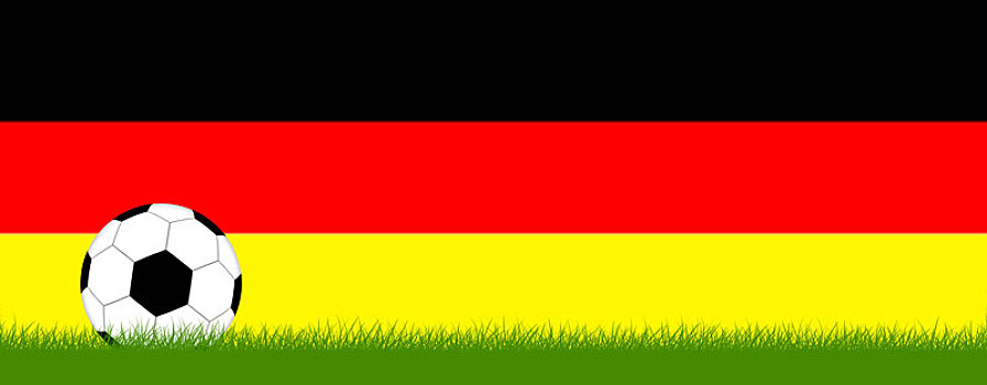球,草地,正面,德国,彩色