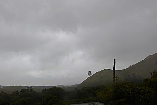 雨天