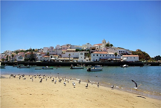 乡村,阿尔加维,葡萄牙