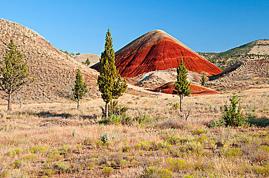 红色,山,约翰时代化石床国家纪念公园,俄勒冈,美国