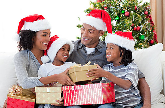 美国黑人,家庭,庆贺,圣诞节,在家