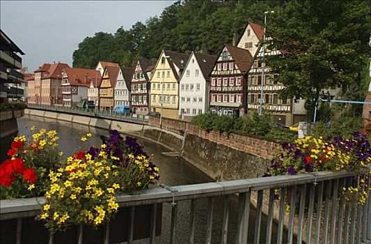 桥,栏杆,花,河,黑森林,巴登符腾堡,德国