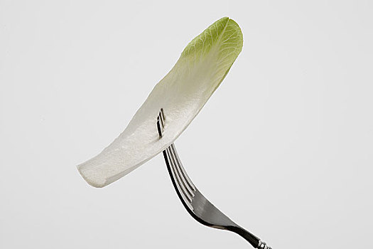 菊苣,叉子