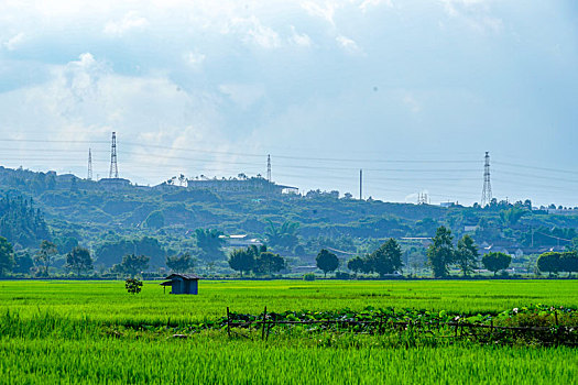 田野乡村