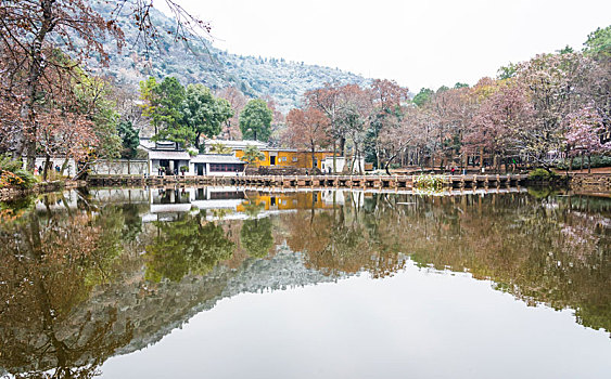 天平山雪景