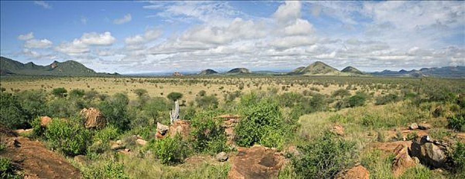肯尼亚,西察沃国家公园,特色,景色,火山,活动,形状,形态,区域,漂亮