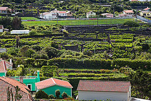 葡萄牙,亚速尔群岛,岛屿,俯视图,城镇,火山地貌
