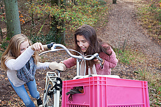 俯拍,少女,拿着,自行车,粉色,板条箱,联结,微笑