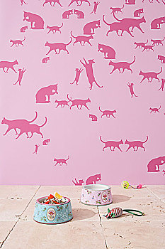 猫,配饰,器具,正面,图案,粉色,壁纸