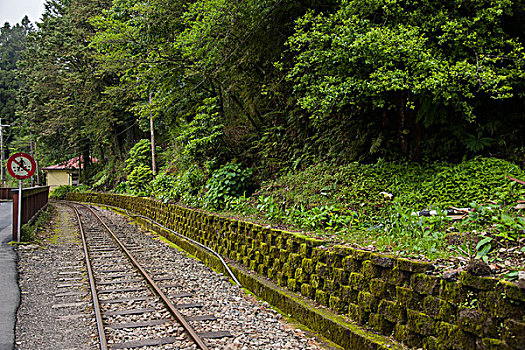 台湾嘉义市阿里山森林中的小火车窄轨铁路