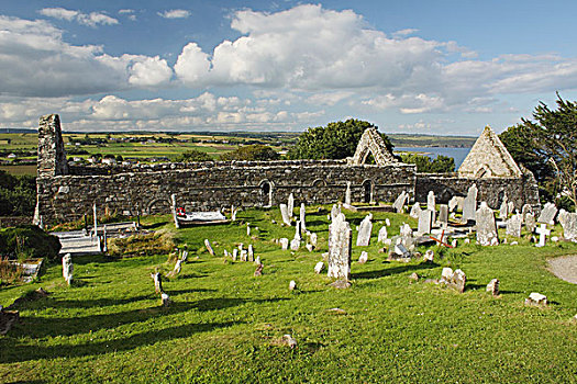 大教堂,墓地,芒斯特,区域,沃特福德郡,爱尔兰