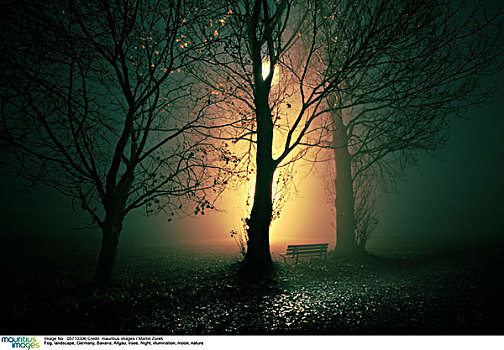 雾,风景,德国,巴伐利亚,夜晚,光亮,月亮,自然