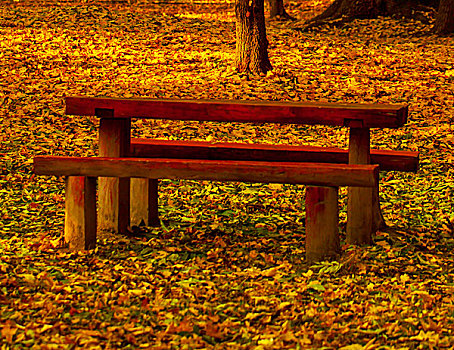 秋日风光,长椅
