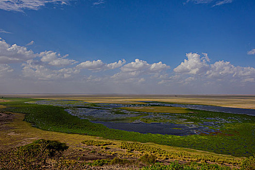 肯尼亚安波塞利国家公园
