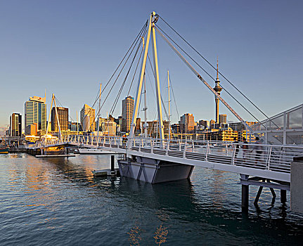 穿过,高架桥,天际线,奥克兰,游艇,港口,北岛,新西兰
