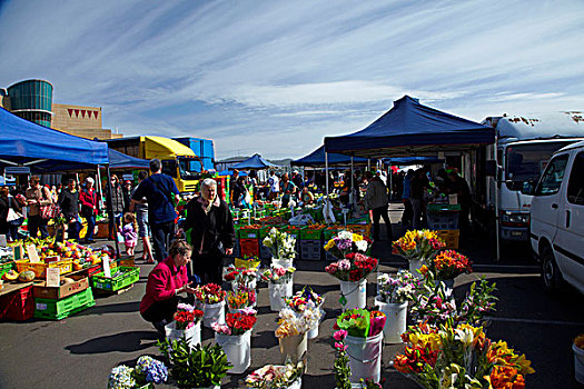 花,货摊,市场,惠灵顿,北岛,新西兰