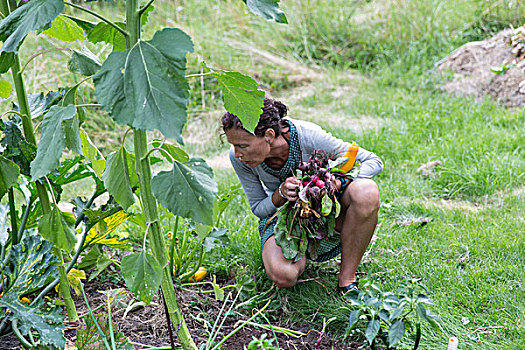 女人,蔬菜采摘,花园