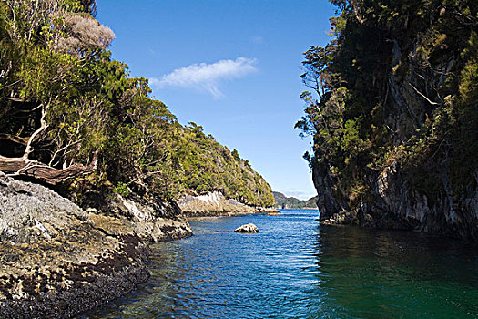 峡湾国家公园,朦胧,南岛,新西兰