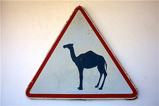 骆驼,标识