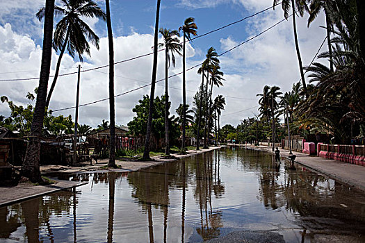洪水,街道,结果,台风,马达加斯加