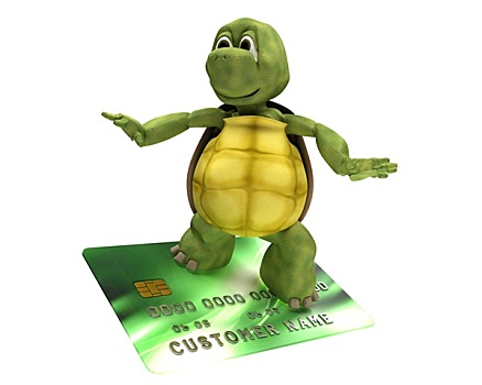 龟,信用卡
